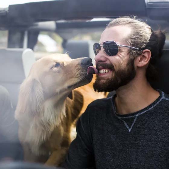 Man and dog in car