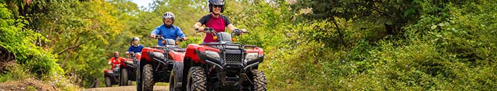 ATVs in the woods
